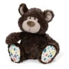 Nici 40478 Classic Bear Bär Dunkelbraun Mit Bunten Füßen Plüsch Kuscheltier 20cm -Beliebter Spielzeugladen 40479 2025x2048