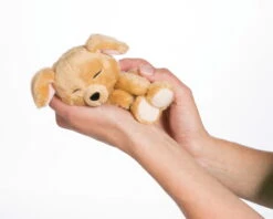 Nici 48111 Sleeping Puppies Schlafendes Hundebaby Im Körbchen 12cm Karamell 8 Nici 48111 Sleeping Puppies Schlafendes Hundebaby Im Körbchen 12cm Karamell -Beliebter Spielzeugladen 45371 12 image 2048x1638