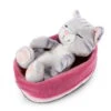 Nici 47144 Sleeping Kitties Schlafende Katze Im Körbchen 16cm Plüsch Grau -Beliebter Spielzeugladen 47144 01 HA Frei 2048x1752
