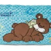 Nici 47615 Kissen Bär Kakaobraun & Frosch 43x25cm Plüsch Classic Bear GREEN -Beliebter Spielzeugladen 47615 01 HA Frei 2048x1318