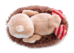 Nici 47874 Eule Owluna 12cm Schlafend Im Vogel-Nest Plüsch Kuscheltier Owlsons -Beliebter Spielzeugladen 47874 03 ZA Frei 2048x1479