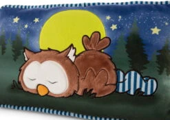 Nici 47879 Kissen Eule Oscar Schlafend Glow In The Dark 43x25cm Plüsch Owlsons 10 Nici 47879 Kissen Eule Oscar Schlafend Glow In The Dark 43x25cm Plüsch Owlsons -Beliebter Spielzeugladen 47879 04 ZA Frei 2048x1451