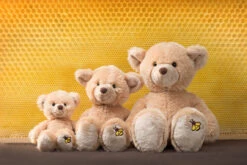 Schaffer 5661 Plüsch Teddy Honey Ca 26cm -Beliebter Spielzeugladen 5660honey1 2