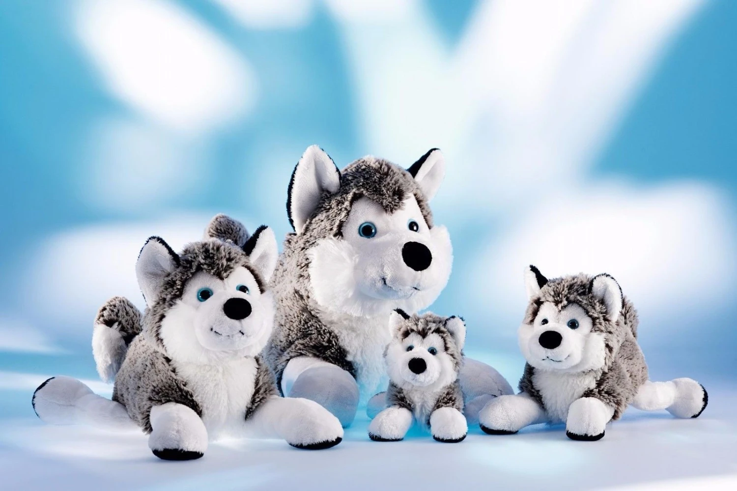 Schaffer 4741 Schlittenhund Polarhund Husky Ca 24cm Kuscheltier Plüschtier 3 Schaffer 4741 Schlittenhund Polarhund Husky Ca 24cm Kuscheltier Plüschtier