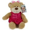 Plüsch Bär "It's A Girl" Sitzend 25cm / Gesamtgröße 34cm Kuscheltier Kwikki -Beliebter Spielzeugladen 57TyKEBdeeaeNGv