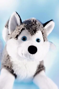 Schaffer 4741 Schlittenhund Polarhund Husky Ca 24cm Kuscheltier Plüschtier 7 Schaffer 4741 Schlittenhund Polarhund Husky Ca 24cm Kuscheltier Plüschtier -Beliebter Spielzeugladen 57v0Ul3Td50WMh5