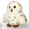 Wild Republic 88119 Pocketkins Schneeeule Snow Owl Ca 12cm Plüsch -Beliebter Spielzeugladen 88119 Schneeeule