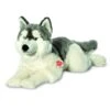 Teddy Hermann 92782 Husky Hund Liegend Ca 60cm Plüsch Kuscheltier -Beliebter Spielzeugladen pic 600 92782